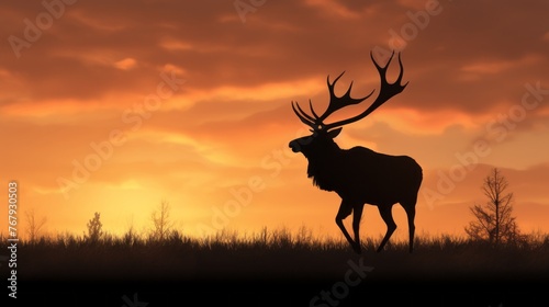 A deer is walking in a field with a sunset in the background