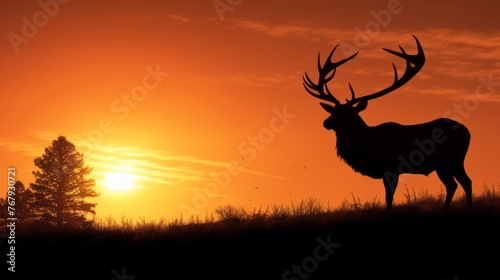 A deer stands in the grass in front of a tree and the sun is setting