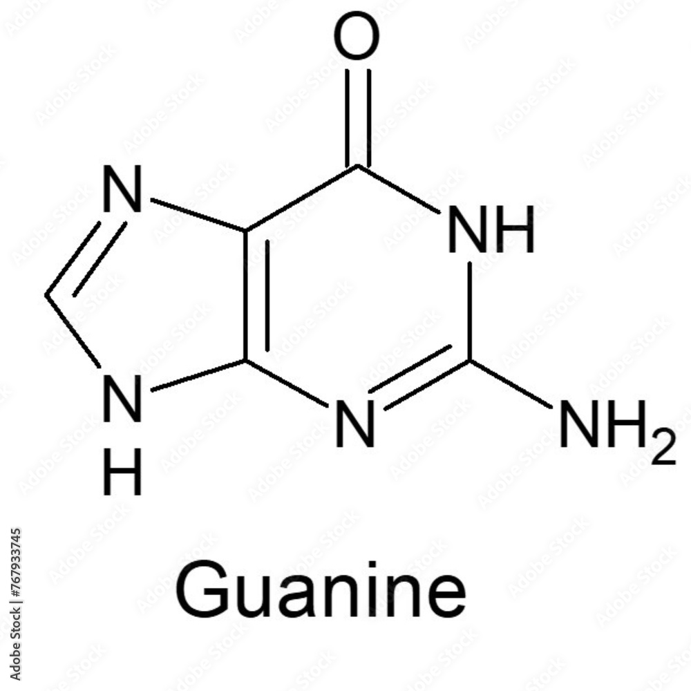 structure of Guanine structure of Guanine
