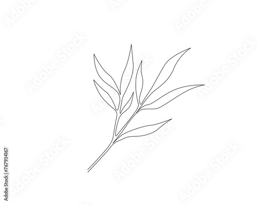 Continuous one line drawing of bamboo leaves. Bamboo branch single outline vector illustration. Editable stroke.