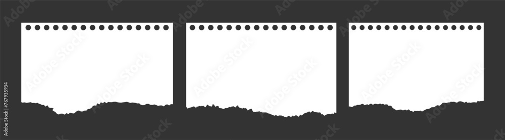 Fototapeta premium blank torn paper