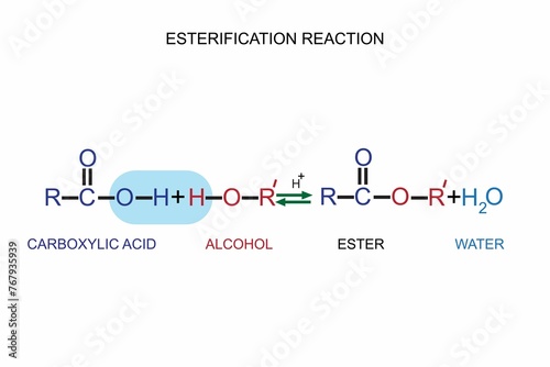 Close up of a laboratory beaker containing the components of an esterification reaction
