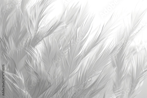 A background of soft feather-like textures in a monochromatic scheme