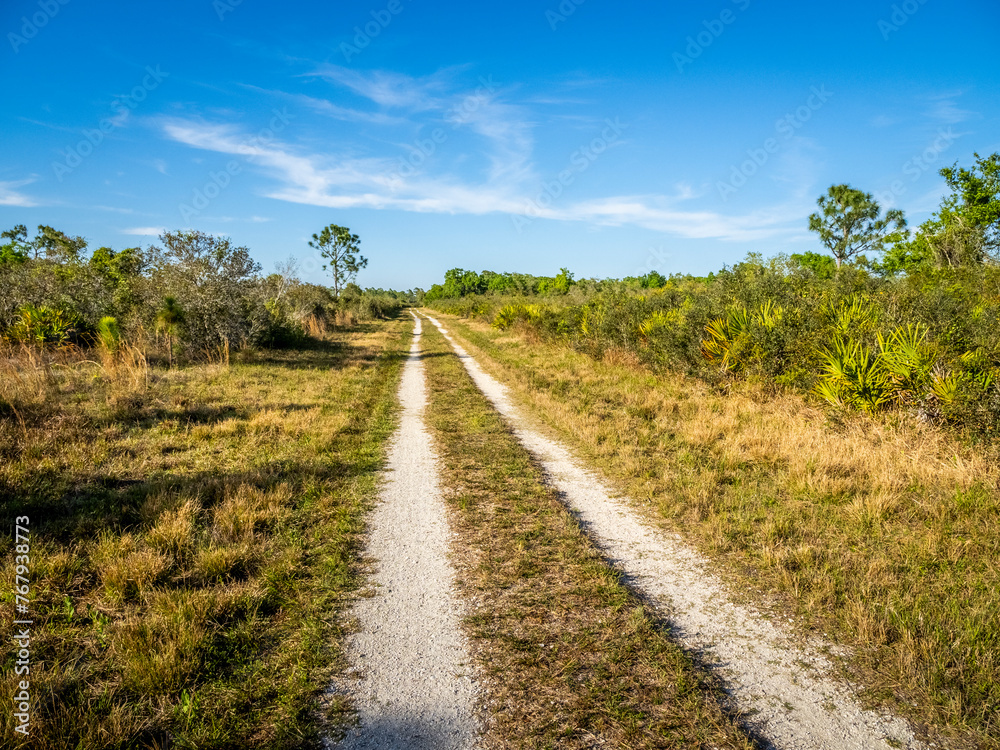 Primitive road in Deer Prairie Creek Preserve in Venice Florida USA