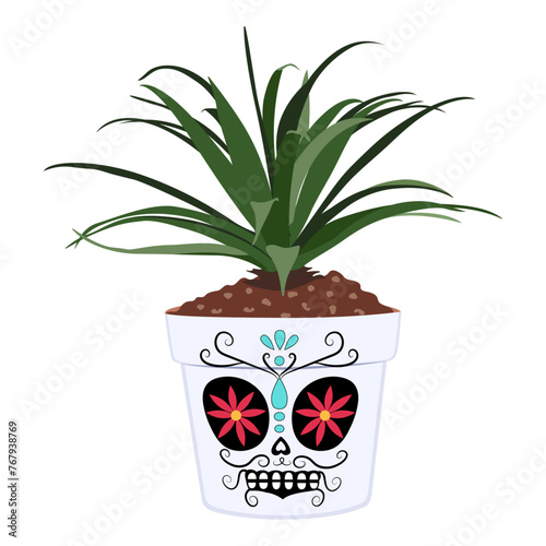Yucca in flowerpots calaca skull. Mexican skull flowerpot isolated on white background