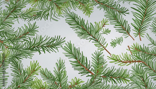 collection of pine branches flowers isolated on a transparent background    colorful background