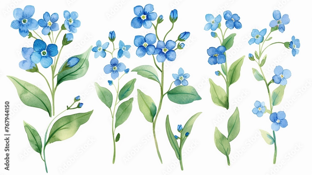 Watercolor forgetmenot clipart with small blue flowers and green leaves ,clean sharp focus