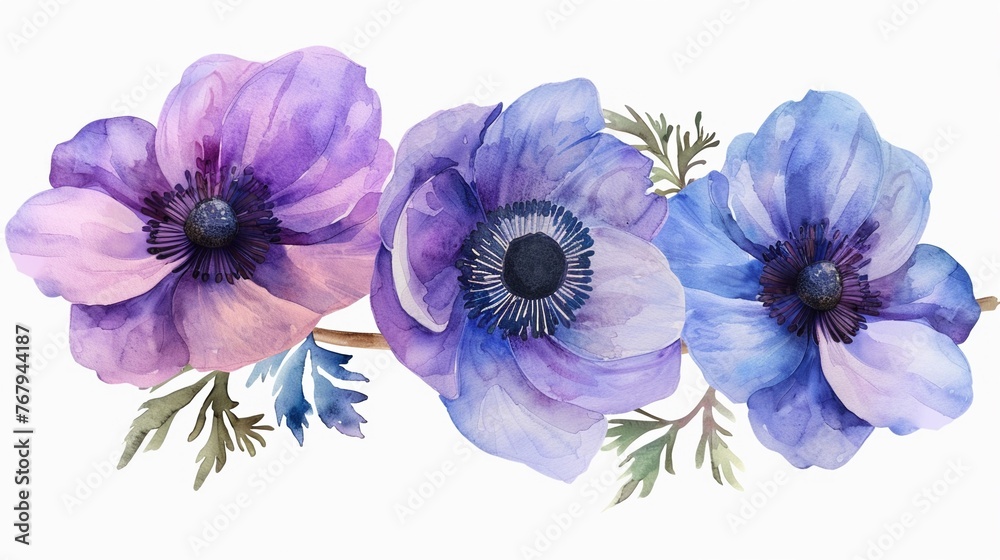 Watercolor anemone clipart featuring bold blooms in shades of purple and blue ,soft shadowns