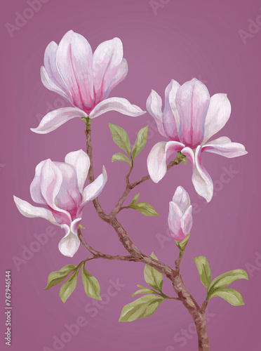 Hand painted acrylic illustration of magnolia flower. Perfect for poster, home textile, packaging design, stationery, wedding invitations and other prints (ID: 767946544)