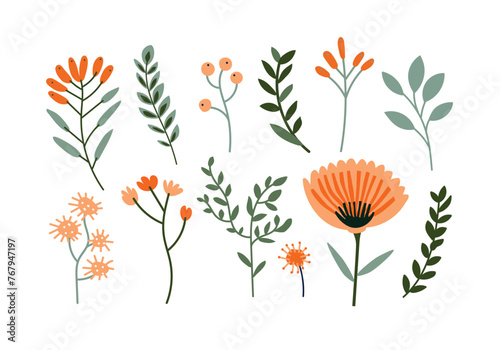 Set of hand drawn pink flowers  leaves and branches. Vector illustration