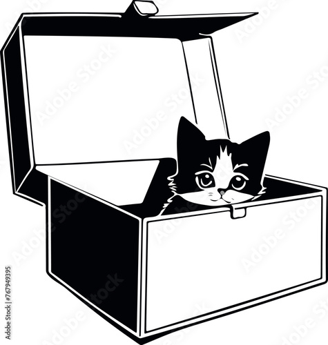 Vector of a kitten in a box cartoon