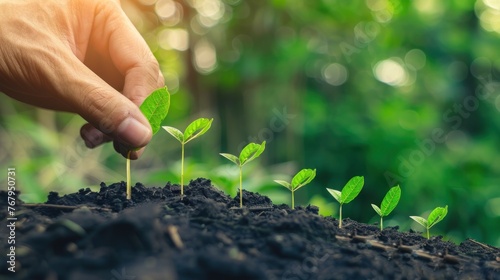 Young green sprouts with leaves emerging from fertile soil, symbolizing new life and beginnings