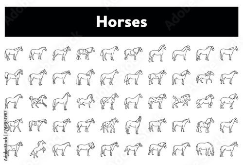 Vector illustration of a set of horse icons on white background