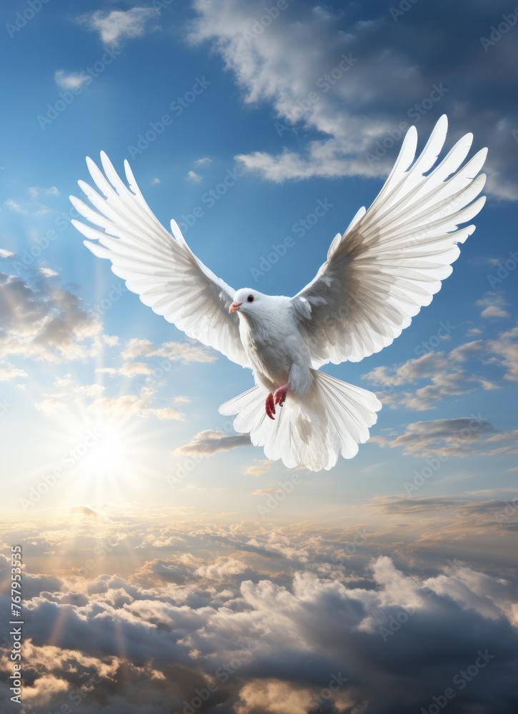 Obraz premium a white dove with wings flying in the sky