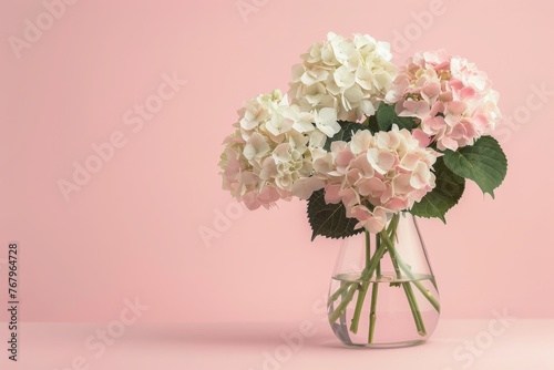 Transparent glass vase filled with beautiful white and pink hydrangea flowers placed against a light pink background. Copyspace