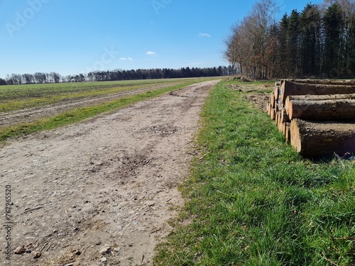 Alter Kirchweg von Apensen nach Wiegersen photo