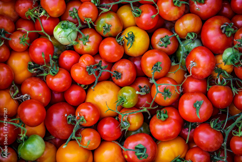 Colorful organic tomatoes.Assortment of tomatoes. Plenty fresh tomatoes of various colors and cultivar background texture.Growing healthy vegetables. photo