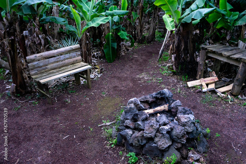 A serene bank nestled amidst lush banana trees, with a stone fire pit at its center, perfect for cozy gatherings in nature.
