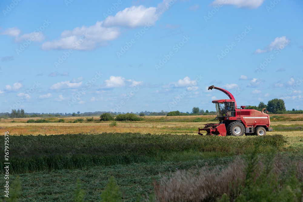 Red harvester in a rural field. Grain harvesting concept on a sunny summer day, side view. Red harvester in a rural field. Grain harvesting concept on a sunny summer day, side view.