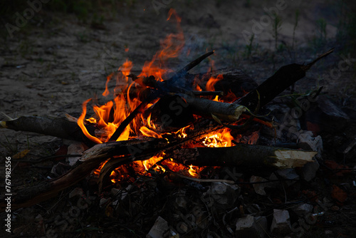 Bonfire, fire, smoke on a background of nature.