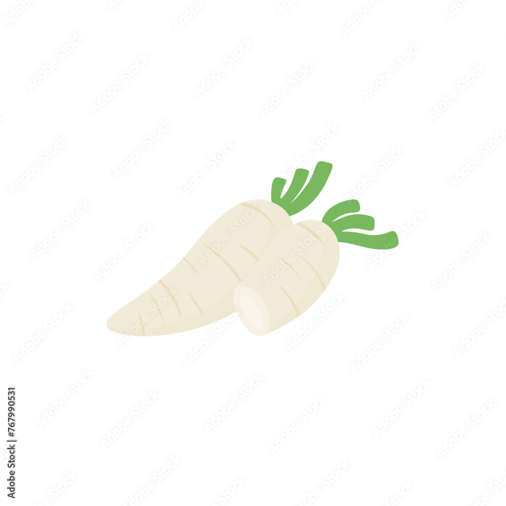 White Radish Vektor Illustration White Radish Vektor Illustration