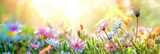Beautiful spring meadow background with grass, flowers and butterflies on a sunny day. pink daisies and a purple butterfly in the sunlight. Spring concept banner design. Easter day.