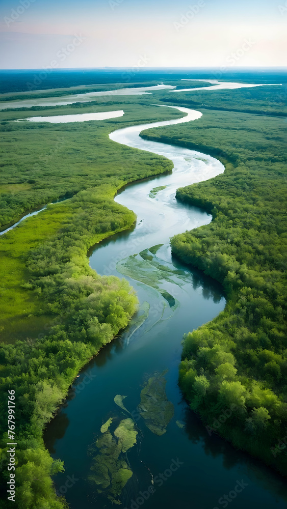 Photo real for Aerial view of a winding river through lush wetlands in Summer Season theme ,Full depth of field, clean bright tone, high quality ,include copy space, No noise, creative idea