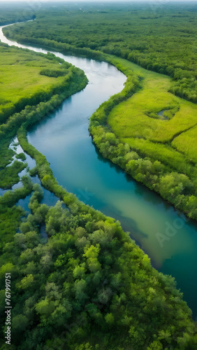 Photo real for Aerial view of a winding river through lush wetlands in Summer Season theme  Full depth of field  clean bright tone  high quality  include copy space  No noise  creative idea