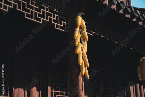 Wallpaper Mural Dried Corn Torontodigital.ca