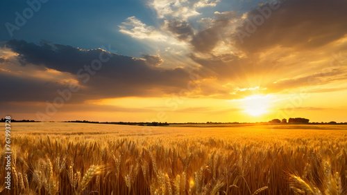 Photo real for Sun setting behind a field of golden barley in Summer Season theme  Full depth of field  clean bright tone  high quality  include copy space  No noise  creative idea