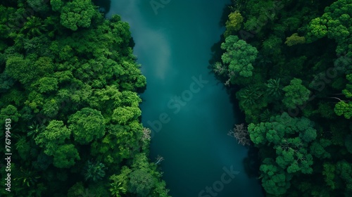 A tranquil aerial shot of a river cutting through a dense green forest from above.