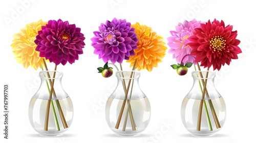 Colorful dahlia Bouquet in a transparent vase