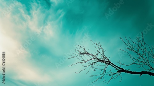 A lone bare tree stands stark against a captivating turquoise sky, its branches reaching out like a silent plea or a dancer's flourish