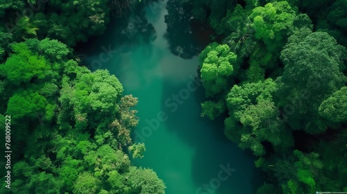 A tranquil river winding through a lush green forest from a bird's eye view. © cherezoff