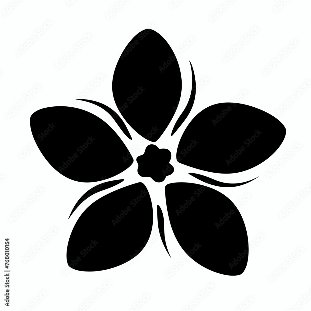 black and white flower black and white flower