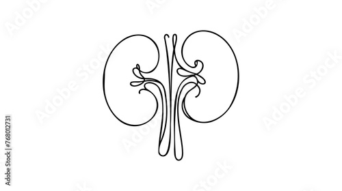Human kidneys with ureters one line art. Continuous line drawing of human, internal, organs, kidneys, ureters, excretory system.Web