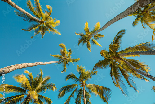 Photo of palm trees from below against blue sky. Beach holiday concept in exotic places