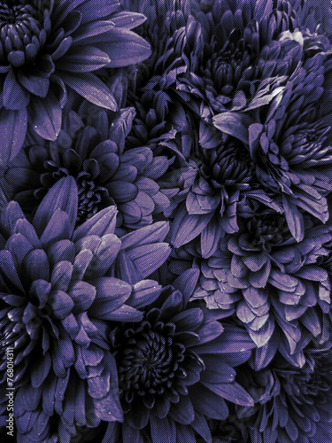 Flower Texture Halftone Effect Graphic
