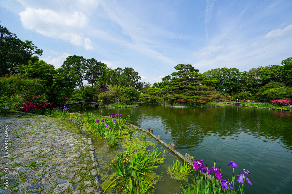 Fototapeta premium 初夏の梅宮大社神苑の風景