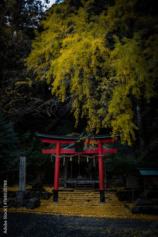 Autumn vibes at Iwato Ochiba shrine in Kyoto, Japan. Autumn vibes at Iwato Ochiba shrine in Kyoto, Japan.