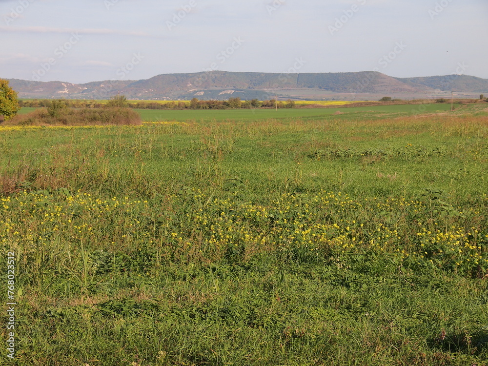 Fototapeta premium Pliska (Kaspichan Municipality, Shumen Province, Bulgaria)