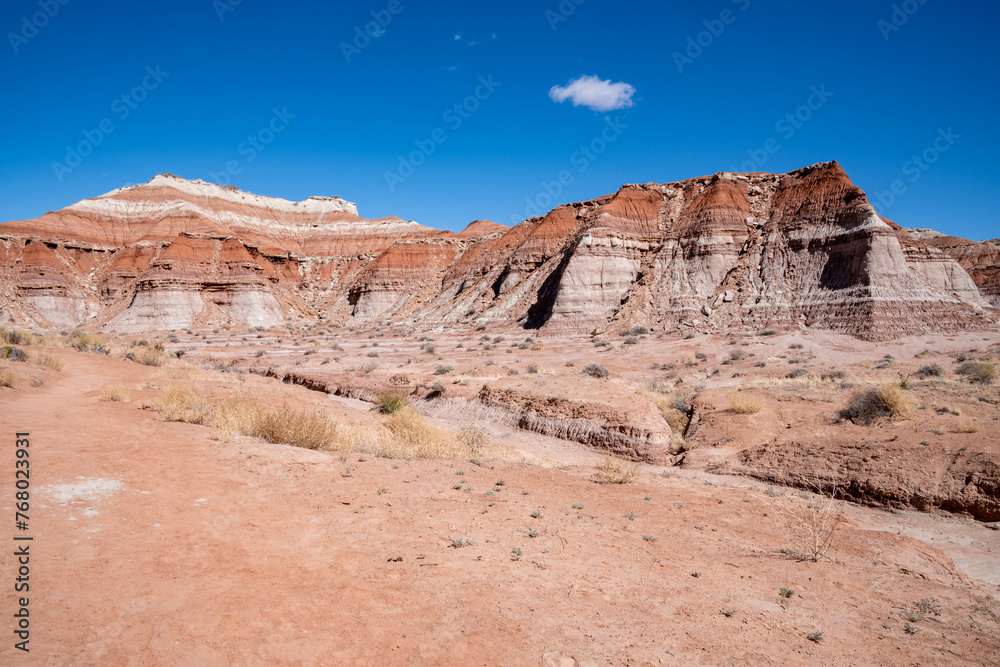 Fototapeta premium Red Rock and Sandstone formations along the Toadstools trail in Grand Staircase-Escalante National Monument in Utah