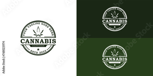 Vintage Cannabis Marijuana Hemp with retro Stamp Label logo in deep green color isolated on multiple background colors. The logo is suitable for healthcare and medical business logo design inspiration