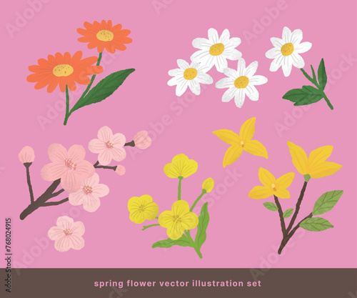 Vector set of handdrawn illustrations of spring flowers on a pink background