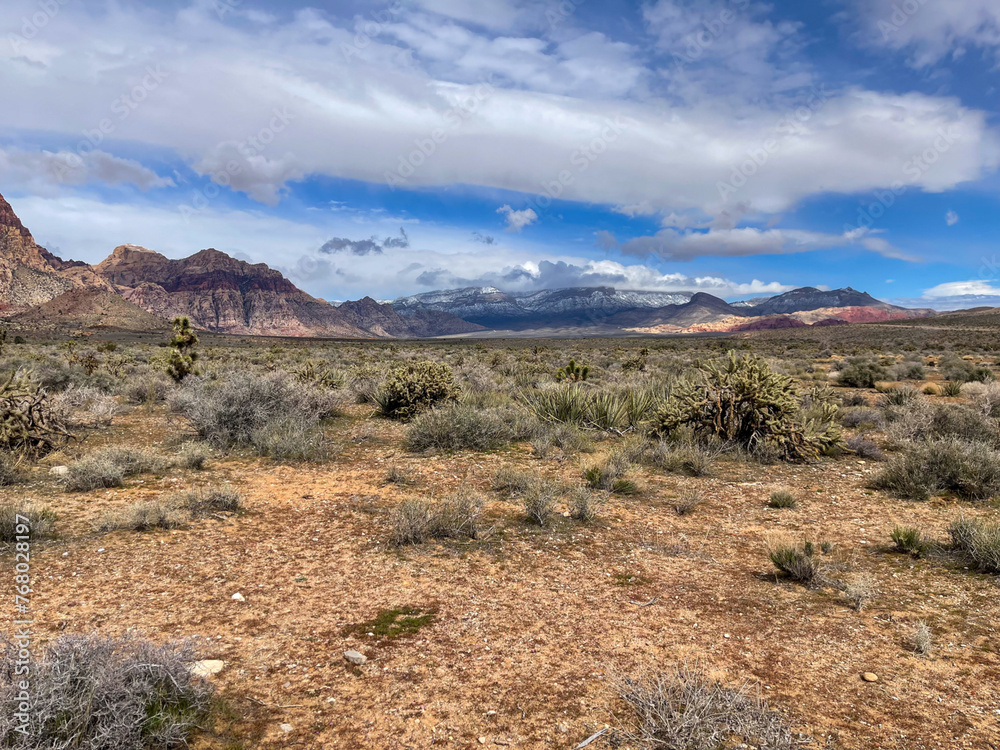 Southern Nevada Desert Landscape