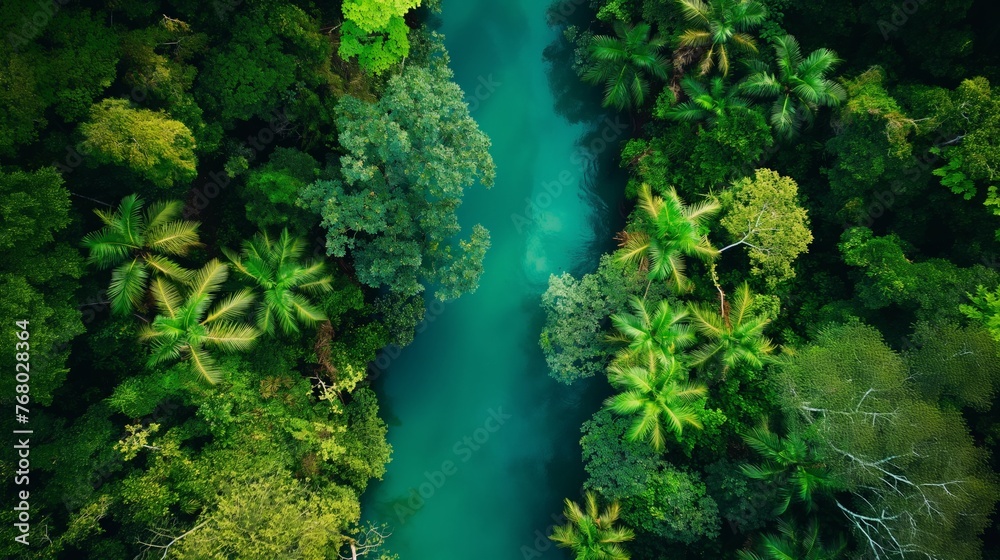 An aerial shot captures the vibrant beauty of a tropical river winding through a dense green forest.