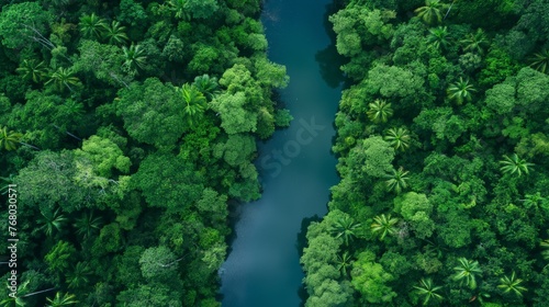 Lush green rainforest embracing a calm river from an aerial perspective, symbolizing tranquility and nature's beauty.