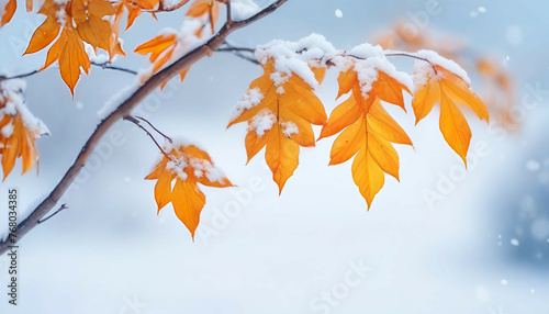 Beautiful branch with orange and yellow leaves in late fall or early winter under the snow. First snow, snow flakes fall, gentle blurred romantic light blue background for design.
 photo