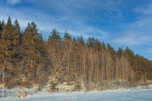 Wallpaper Mural winter nature in the Russian countryside Torontodigital.ca