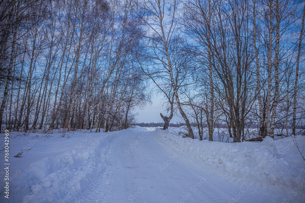 winter nature in the Russian countryside winter nature in the Russian countryside